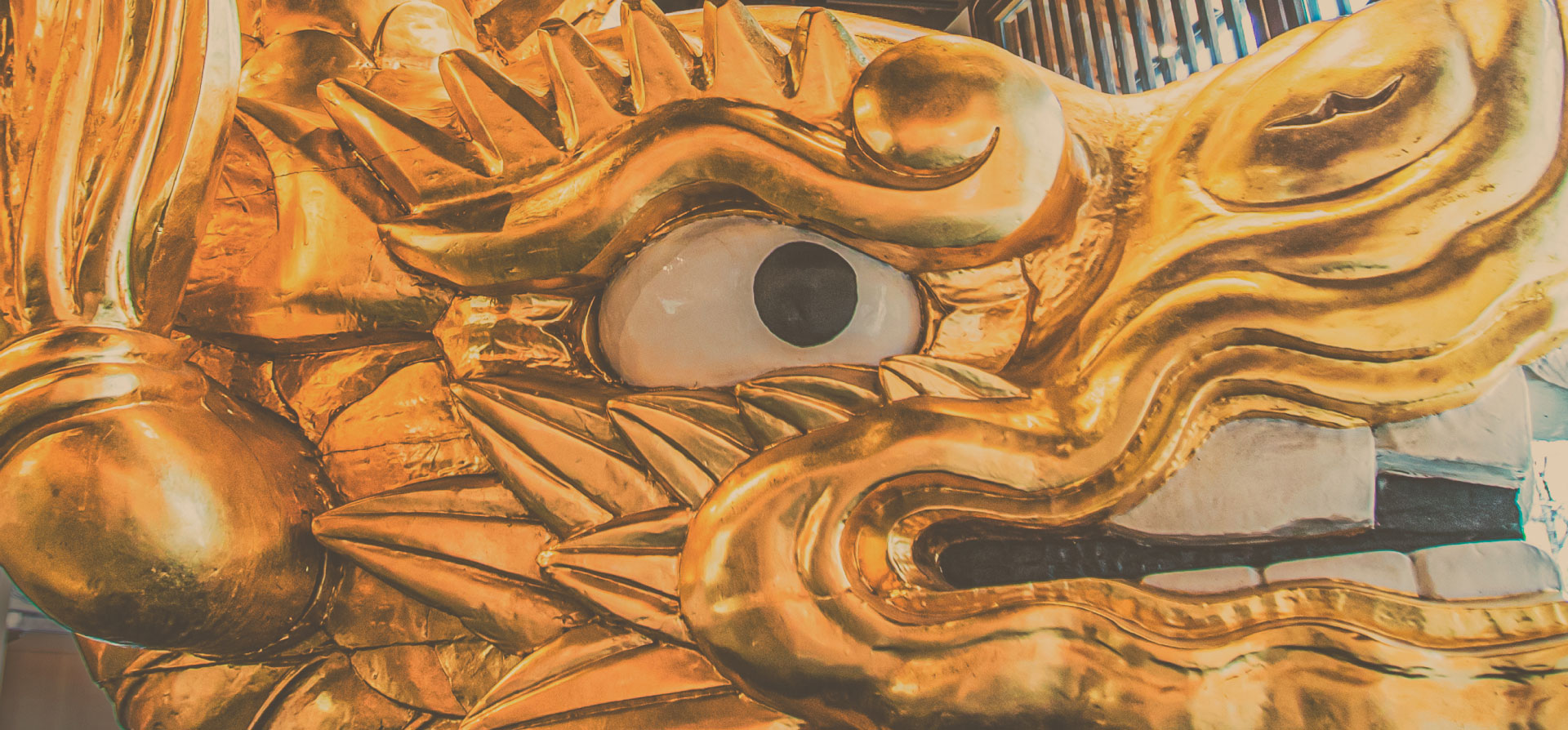 金シャチみやげ 鯱上々